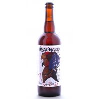 Jolly Pumpkin Artisan Ales - Ursae Majoris